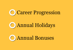  Career Progression
 Annual Holidays 
 Annual Bonuses 
