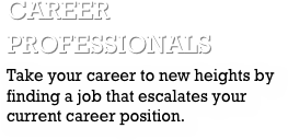 career professionalsTake your career to new heights by finding a job that escalates your current career position.